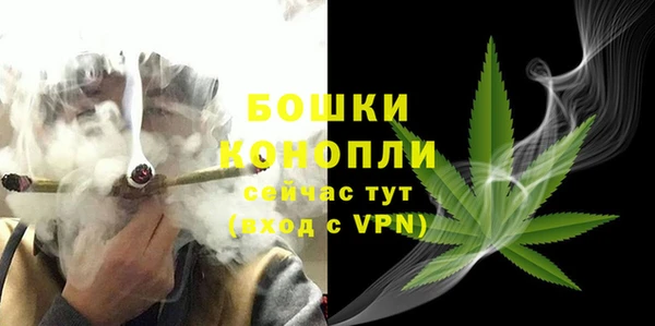 сатива Белокуриха