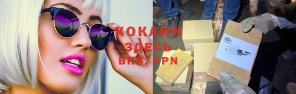 сатива Белокуриха